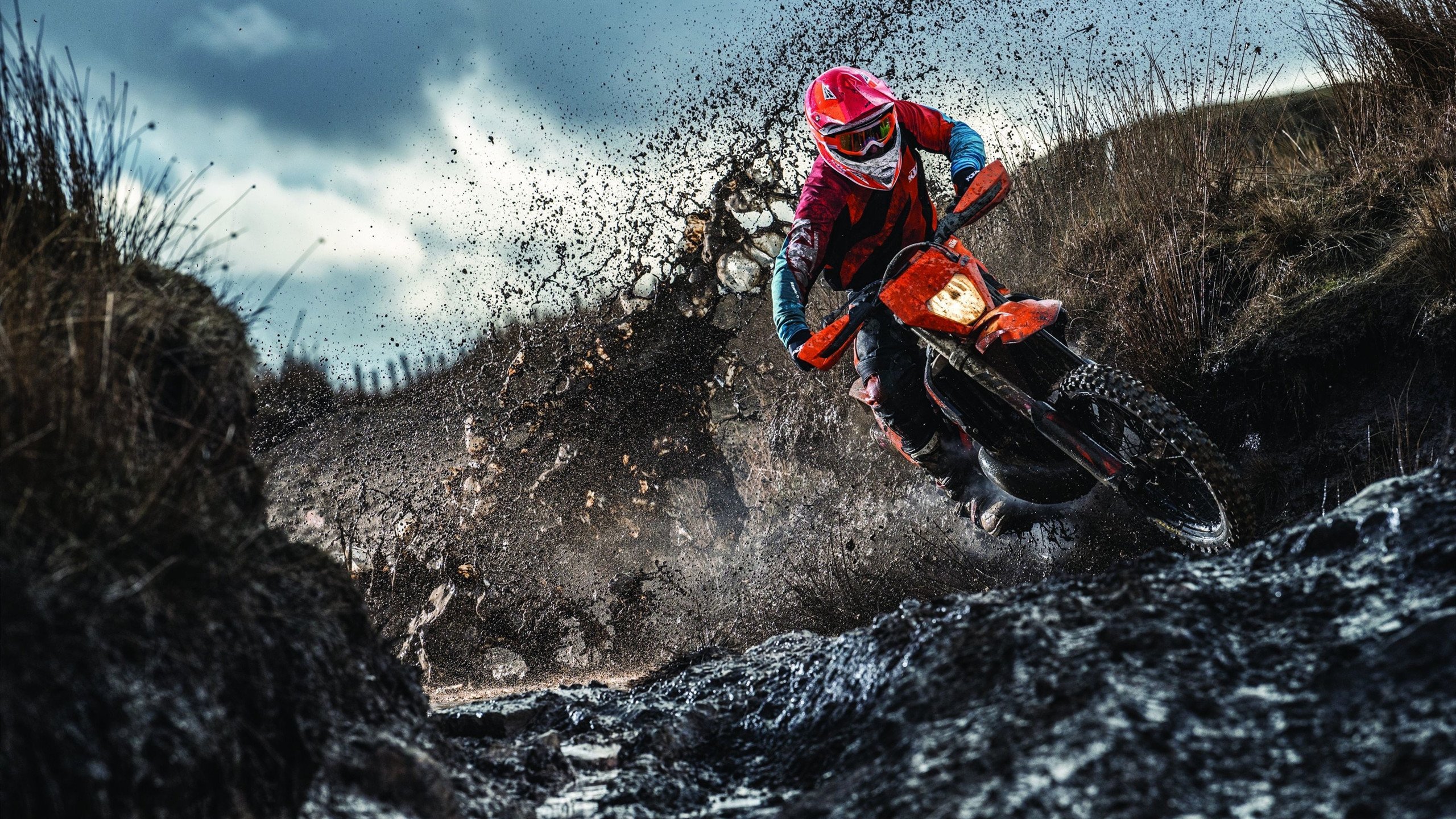 史前巨兽苏醒，詹姆斯的个人神迹与猛龙的恐龙战术如何诠释现代篮球的两极